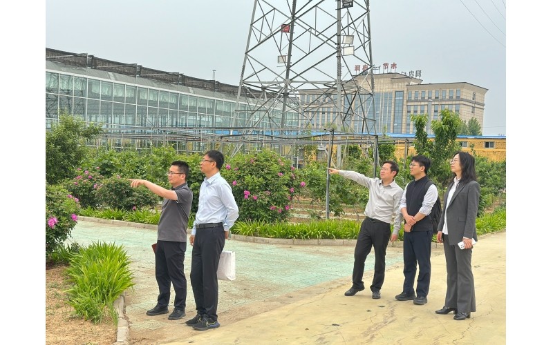 河北证监局监管处领导莅临润农节水开展例行走访调研，指导公司高质量发展
